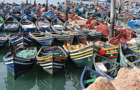 marocco acquacoltura agadir