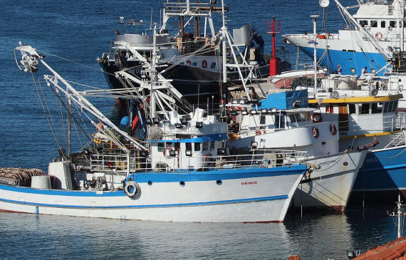 Casanova/Viviani, spiace che Sinkevicius a Cervia non abbia incontrato pescatori