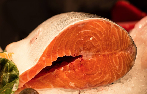 dieta pescetariana, pescetarianismo