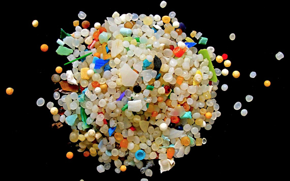 Pesci e microplastiche, i rischi della nutrizione con mangimi contaminati