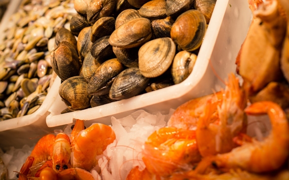 Promozione prodotti pesca e acquacoltura