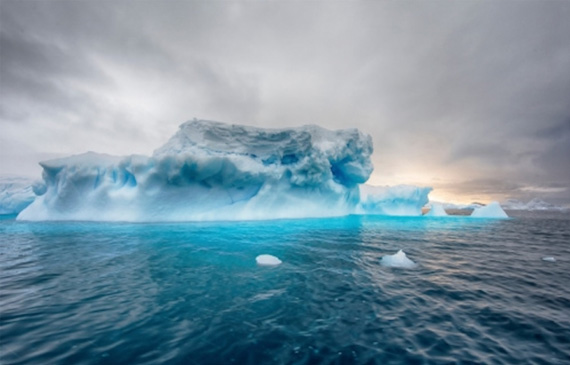 Cambiamento Climatico settore ittico