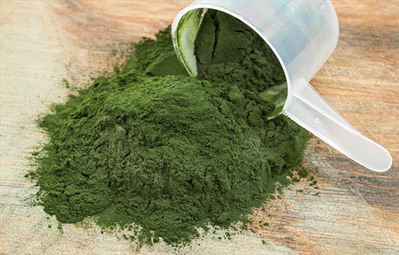 EgoCreaNet spirulina