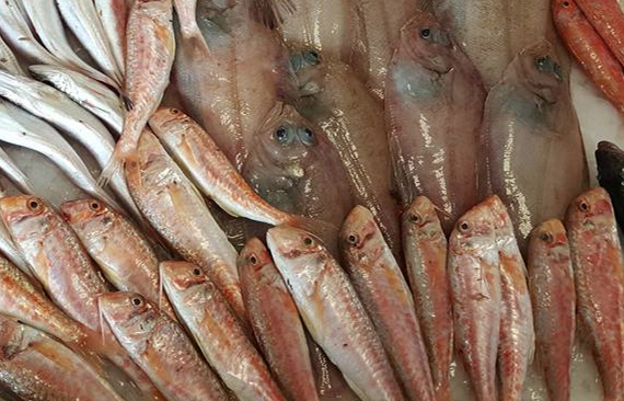 vendita dettaglio prodotti ittici