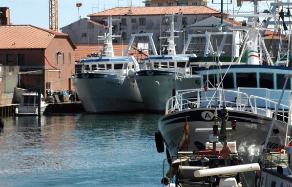 coldiretti adriatico fermo