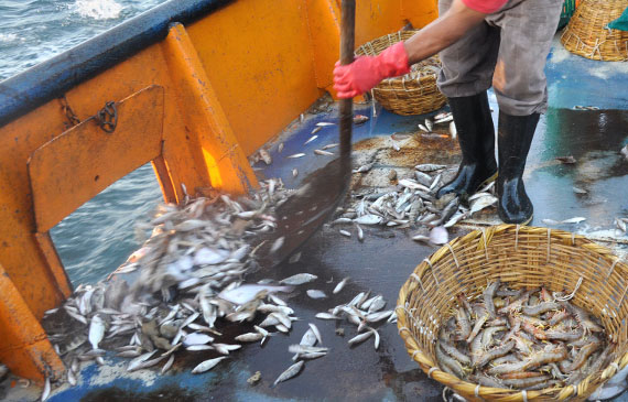 spreco prodotti ittici