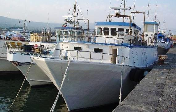 settore ittico Albania