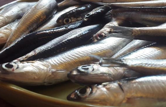 Certificazioni e marchi di qualità