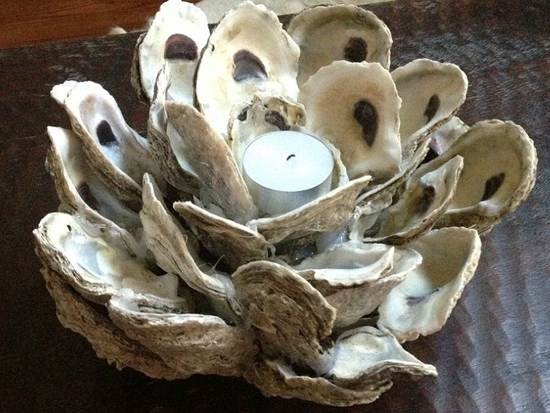 rifiuti gusci molluschi