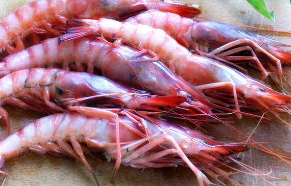 gamberi impariamo a distinguerli