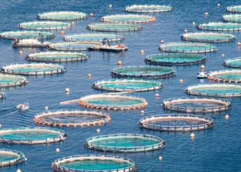 acquacoltura cs confagricoltura