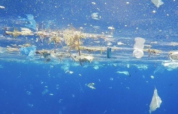 agroalimentare plastiche