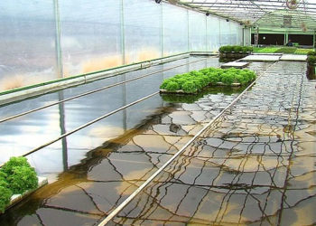 europa acquaponica Di Crescenzo