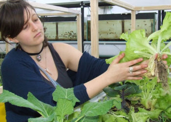 Giulia Di Crescenzo Aquaponica