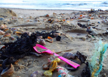 Greenpeace Plastic Free Week