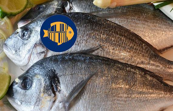 missione efficienza GS1