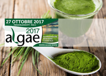 algae alghe
