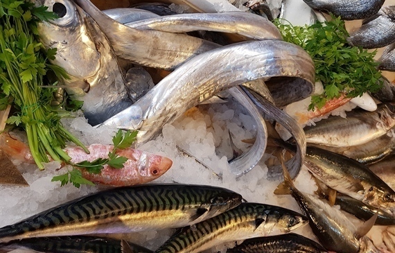 etichettatura errata