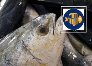 GS1 codice barre export ittico