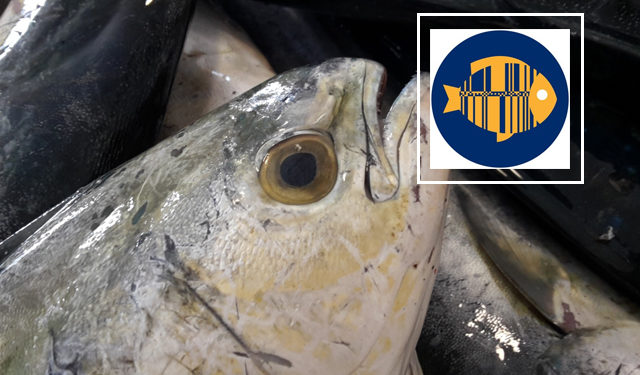 GS1 codice barre export ittico