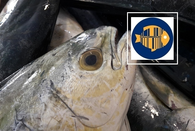 GS1 codice barre export ittico