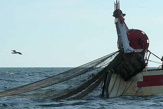 registro identitario al sicilia seafood