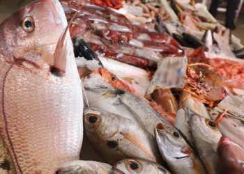 pesce fresco