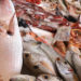 pesce fresco