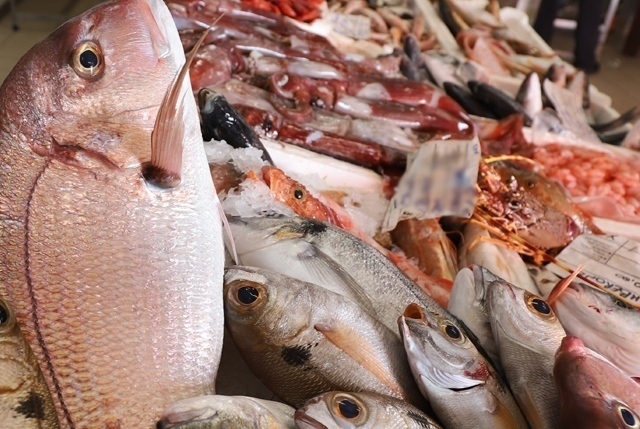 pesce fresco