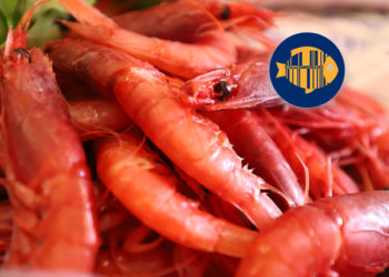 Gambero rosso