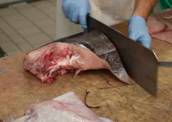 Tranciamento pesce spada
