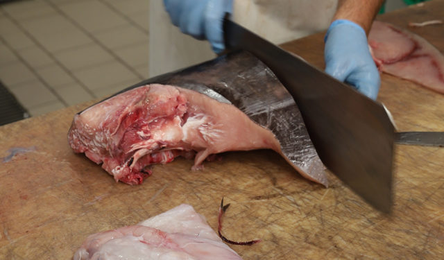 Tranciamento pesce spada