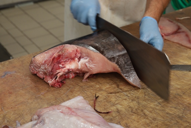 Tranciamento pesce spada