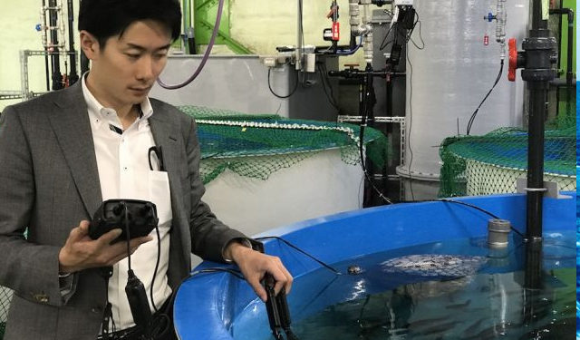 Impianto pilota per il salmone di FRD in Giappone nella città di Kisarazu.
Foto: FRD Giappone
