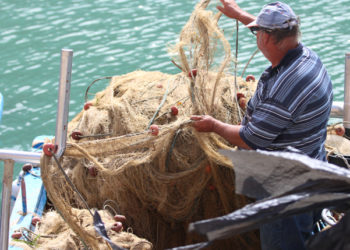 settore ittico in Sicilia