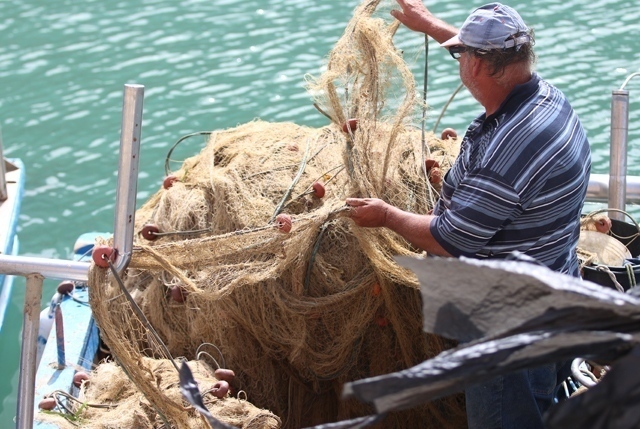 settore ittico in Sicilia