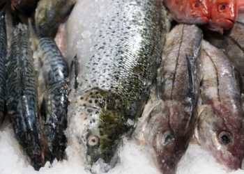 venerdi pesce prezzi prodotti ittici