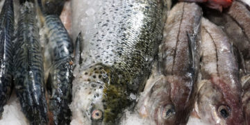 venerdi pesce prezzi prodotti ittici