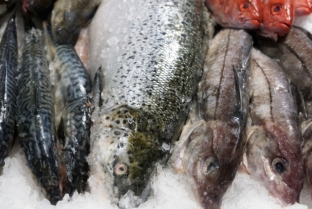 venerdi pesce prezzi prodotti ittici