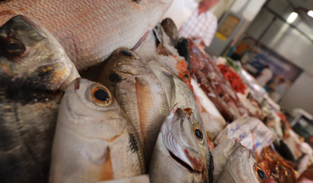 pesca eccessiva e cambiamento climatico causano l'impoverimento dei mari