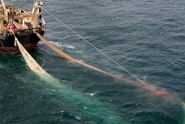 pesca illegale