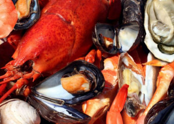 crostacei e molluschi ottimi alleati per la salute dell'uomo