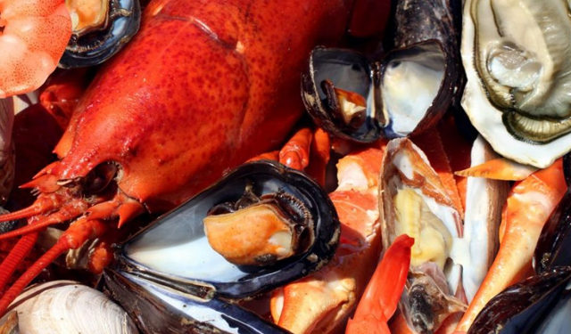 crostacei e molluschi ottimi alleati per la salute dell'uomo