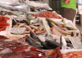 Assoittica, denominazione specie ittiche