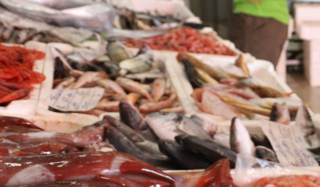 Assoittica, denominazione specie ittiche