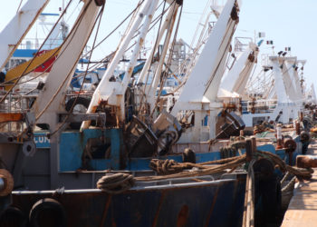 Gli eurodeputati della commissione Pesca in visita al più grande porto peschereccio d'Italia