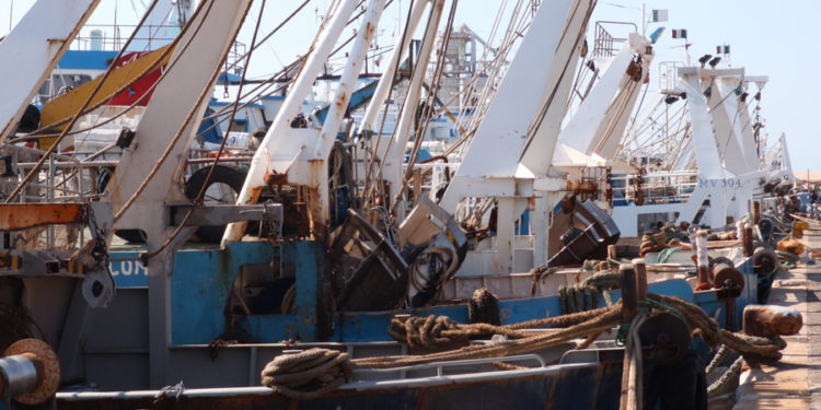 Gli eurodeputati della commissione Pesca in visita al più grande porto peschereccio d'Italia
