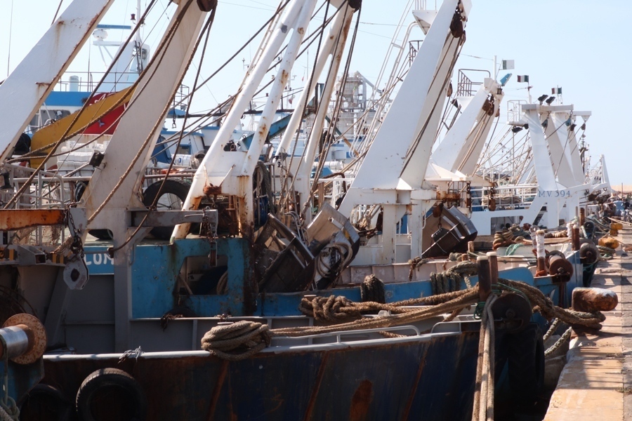 Gli eurodeputati della commissione Pesca in visita al più grande porto peschereccio d'Italia
