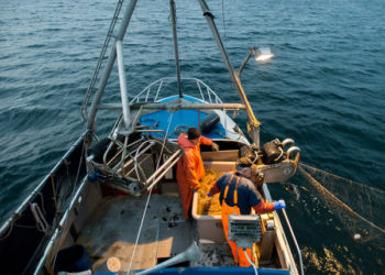Pesca eccessiva nel Mar Baltico