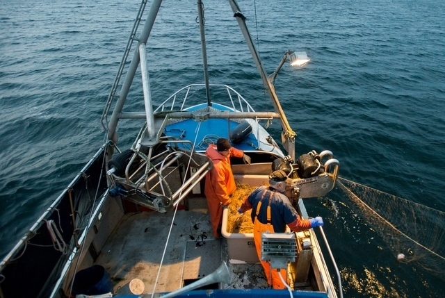 Pesca eccessiva nel Mar Baltico